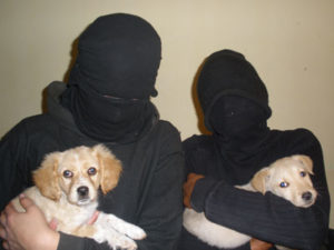 FLA Comando Verde Negro – Dogs Liberated »