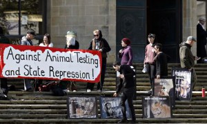 Animal rights activists outside court Debbie Vincent