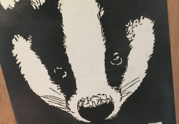 Badger Cull Millionaire Simon Orbell Visited Again (UK)