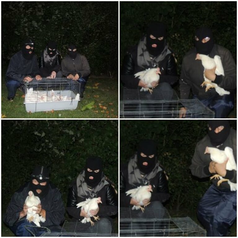 Belgium culture facts picture