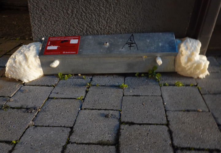 22 Rodent Traps Destroyed (Stuttgart, Germany)