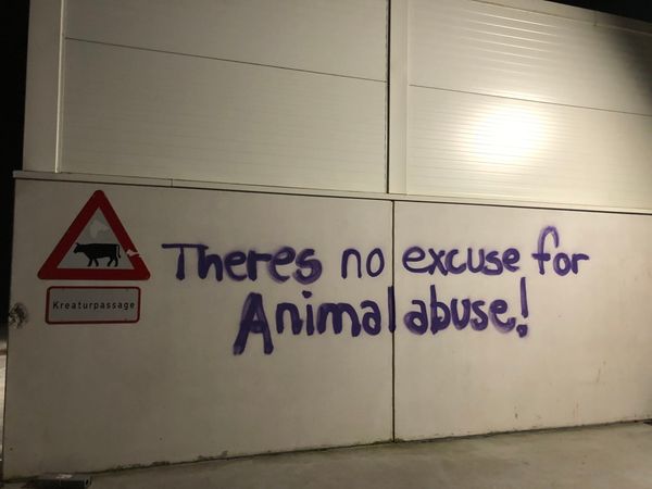 https://animalliberationpressoffice.org/NAALPO/wp-content/uploads/2022/03/Denmark_slaughterhouse_Mar22.jpg