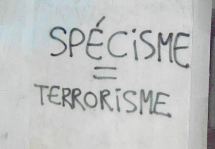 Speciesism Graffiti in Paris (France)