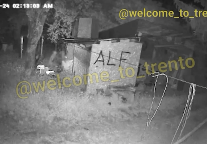 ALF Liberates 80 Chickens (Trento, Italy)