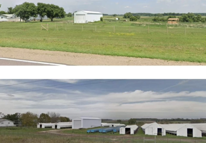 Kavan Ranch Fur Farm Closed (Minnesota, USA)